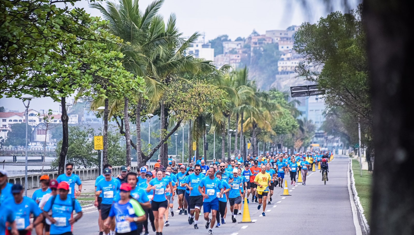 Inscrições para Circuito Curitiba de Corridas de Rua começam nesta segunda  - Massa News